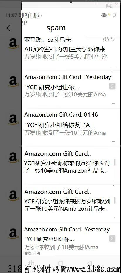 亚马逊海外企业问卷调研