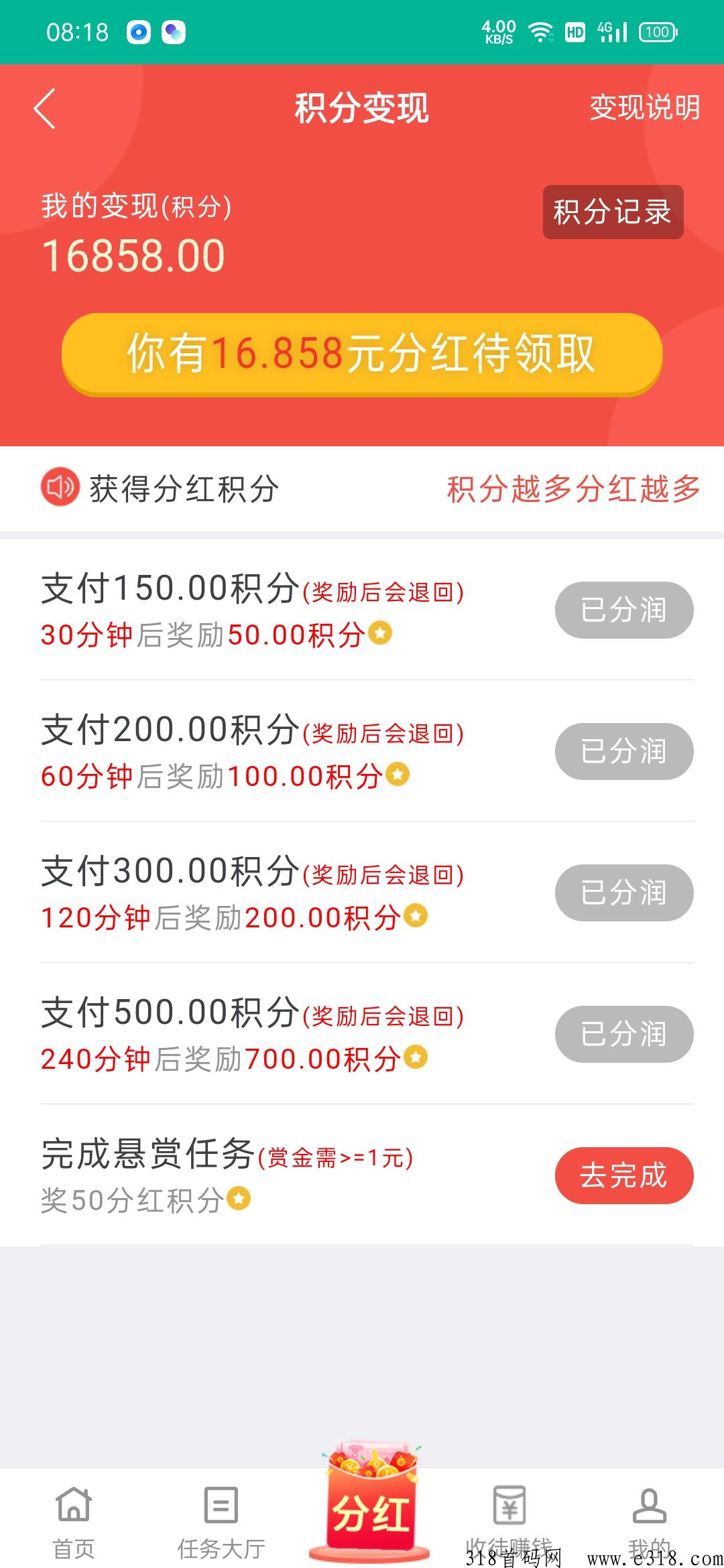 悬赏兔首码项目，赶紧上车吃肉