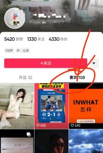 关注兔,D音点关注项目,全网最高单价1个关注价高