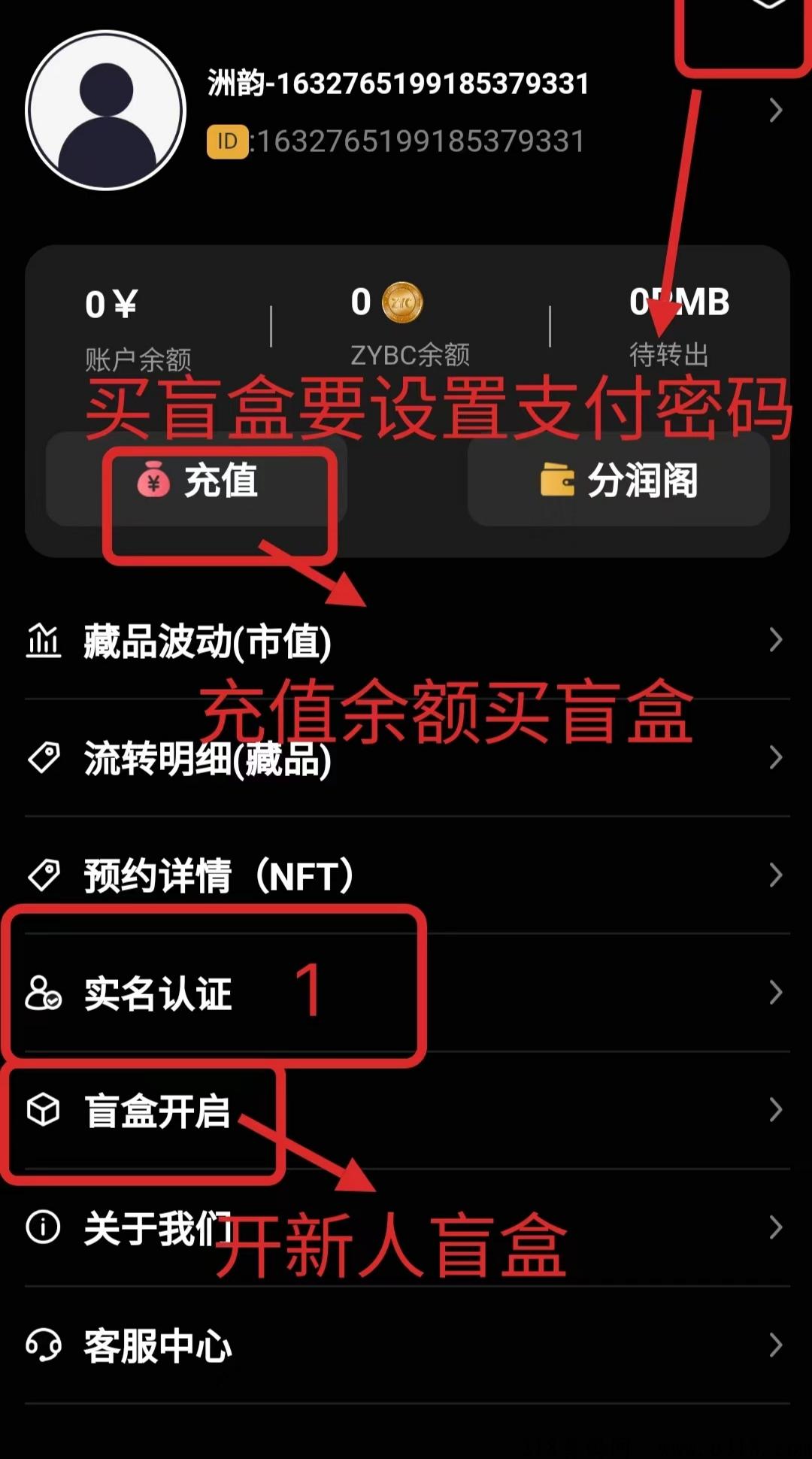 首码洲韵壹号，注册送一个NFT，日产收益高