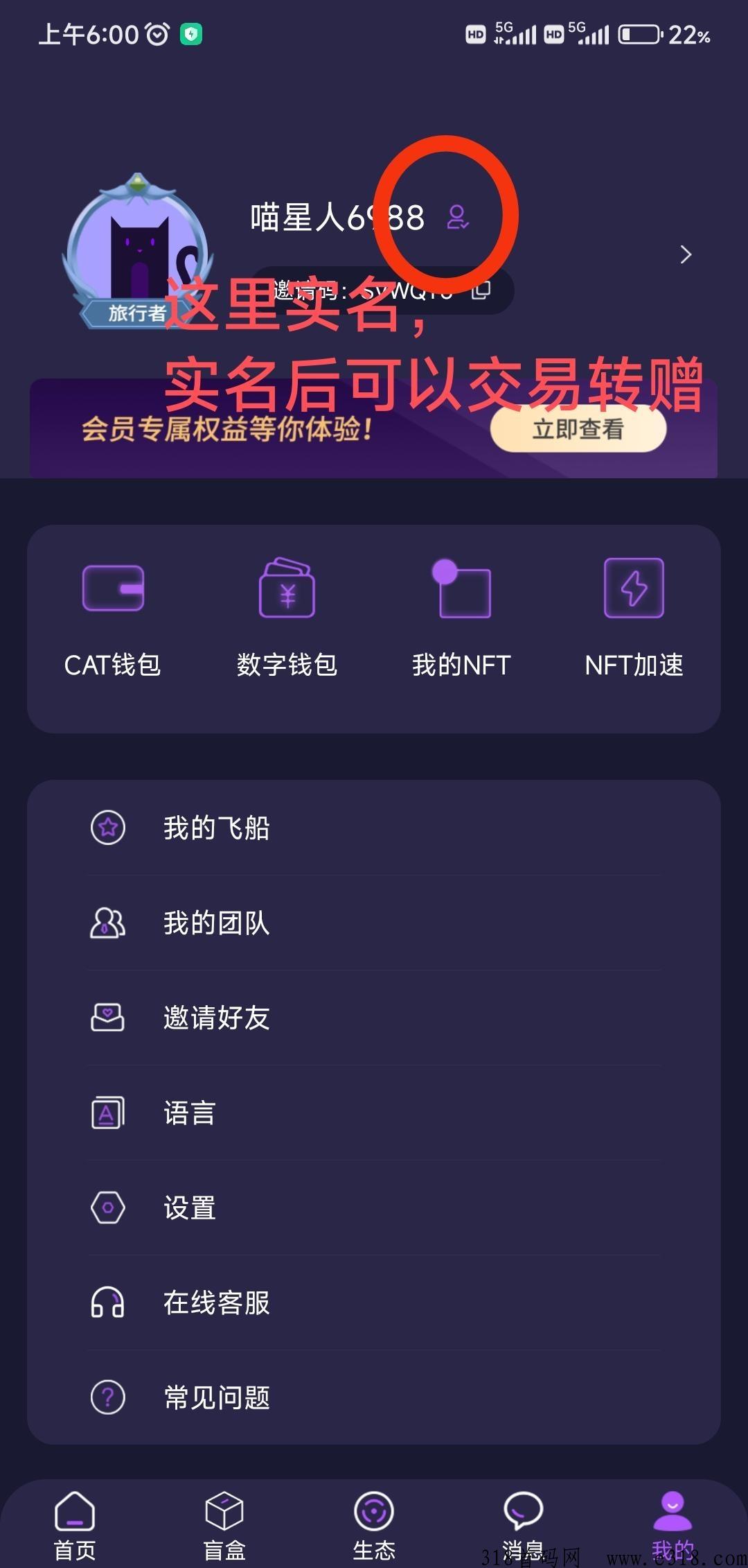 喵星球，重磅免费撸！很快即将变现，马上首次第一期分h！