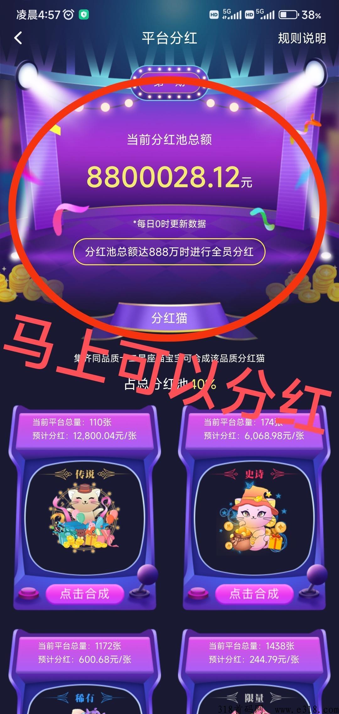喵星球，重磅免费撸！很快即将变现，马上首次第一期分h！