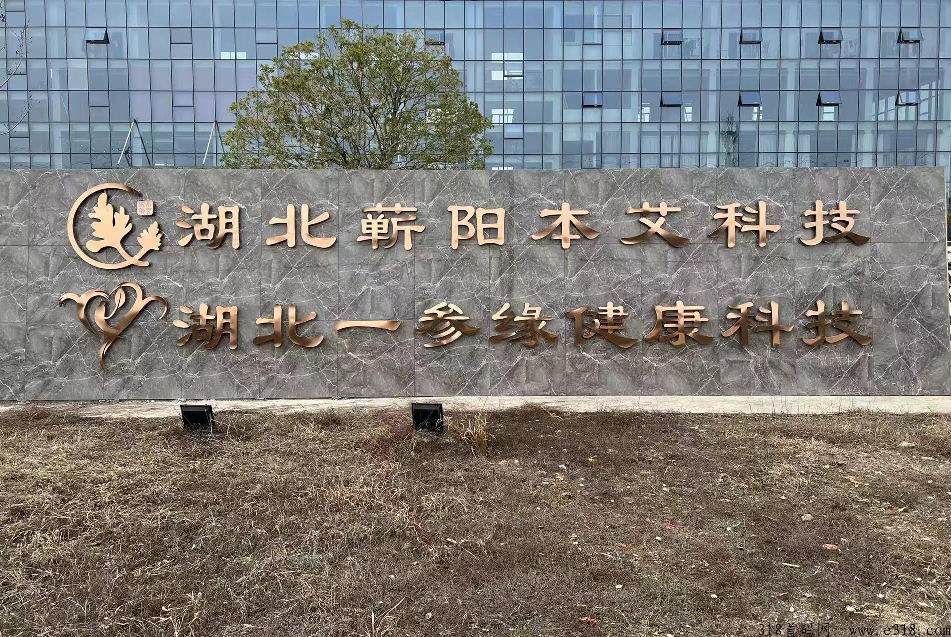 参掌柜线下实体，收益可提