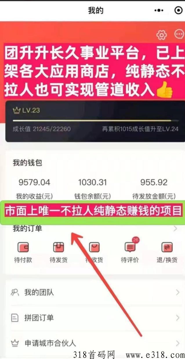 【团生生】无需推广，系统自动分配活粉！