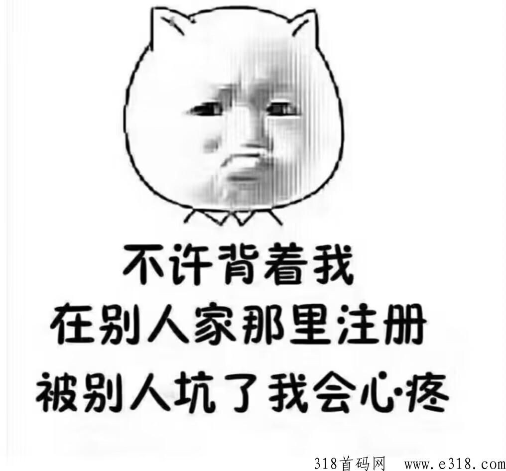 掌上秘书，神盘项目预热中