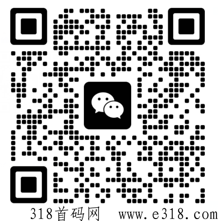 美澳车动力8.0，2023年黑马项目