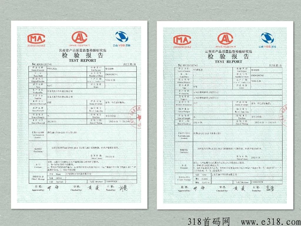美澳8.0，美澳车动力全网对接核心领导人