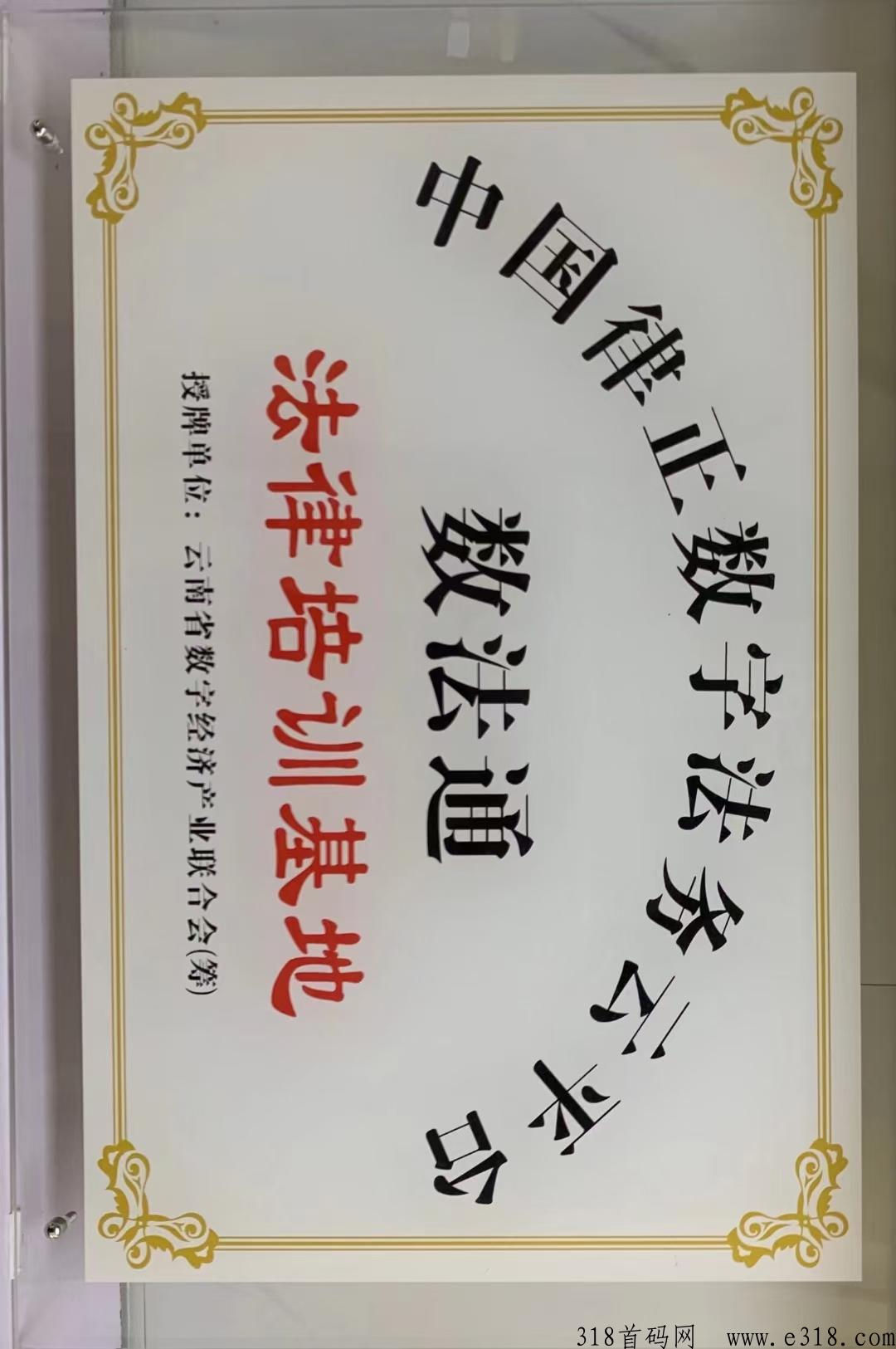 数法通，顶级项目首码来袭，2条线卷轴模式，招募市场部精英，首码团队友，扶持特高