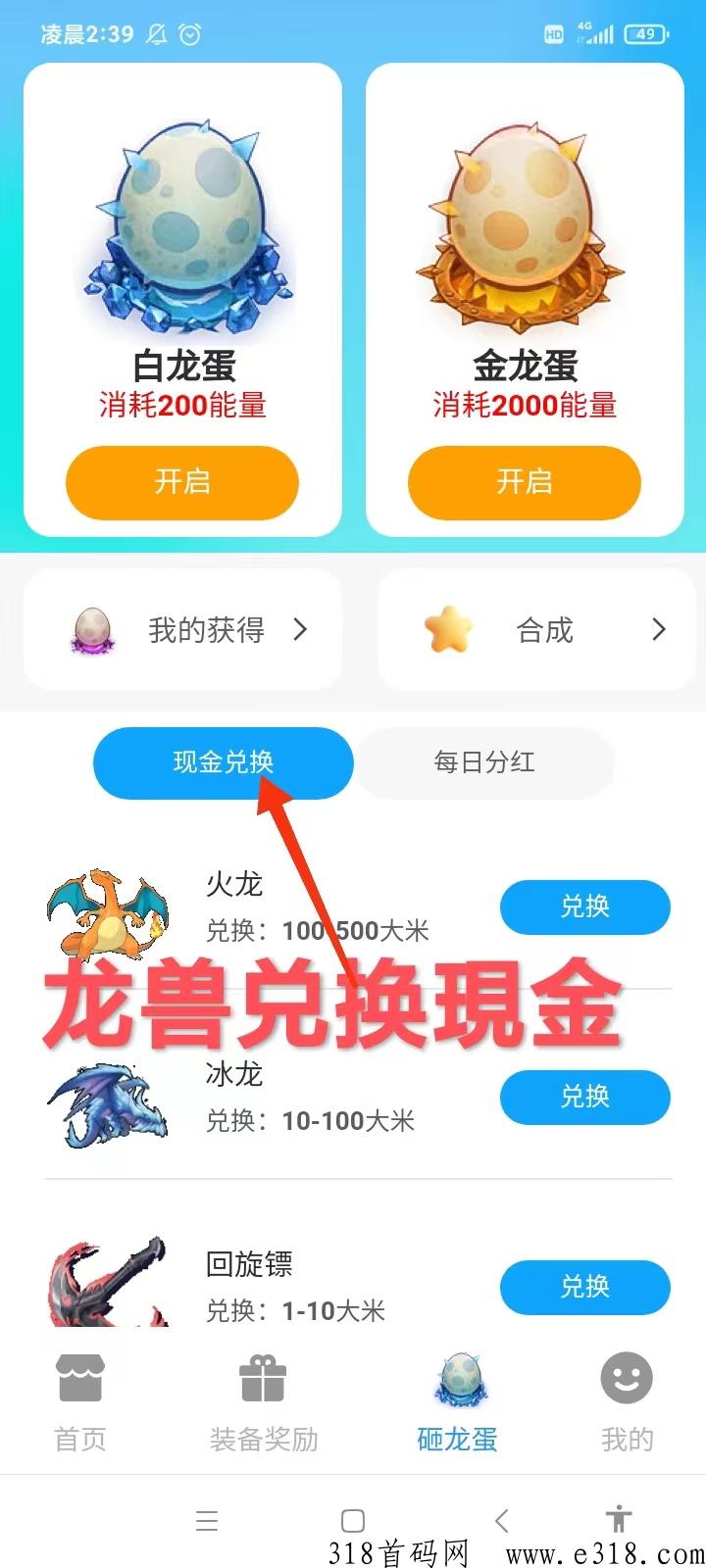 神龙探宝打米首码，手游每日芬荭，轻松赚米