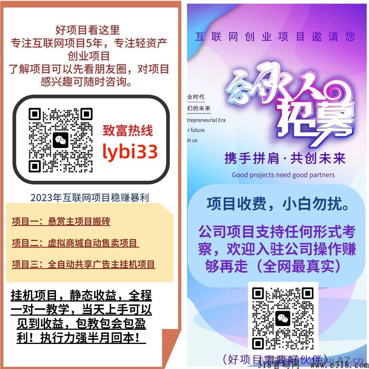悬赏主项目，虚拟店铺项目，广告主项目，可签合同-第2张图片-首码圈