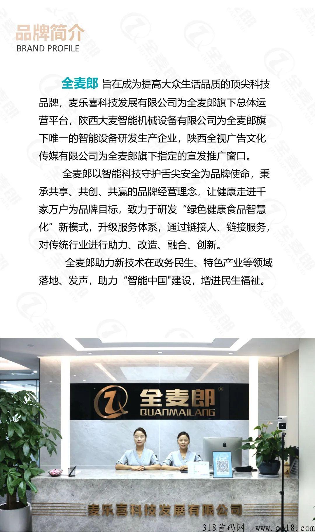 全麦郎智能鲜面机销售模式如何？投资能赚米吗