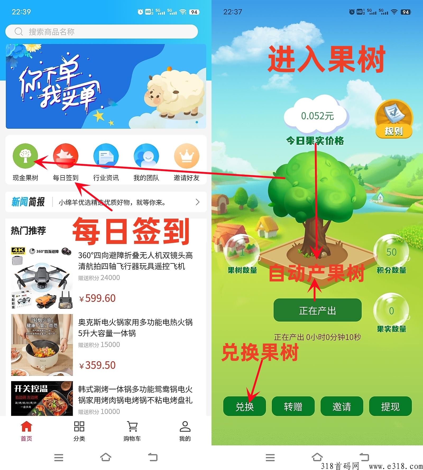 小绵羊果树，分h模式，7天循环加层，免费撸，抓紧撸起来