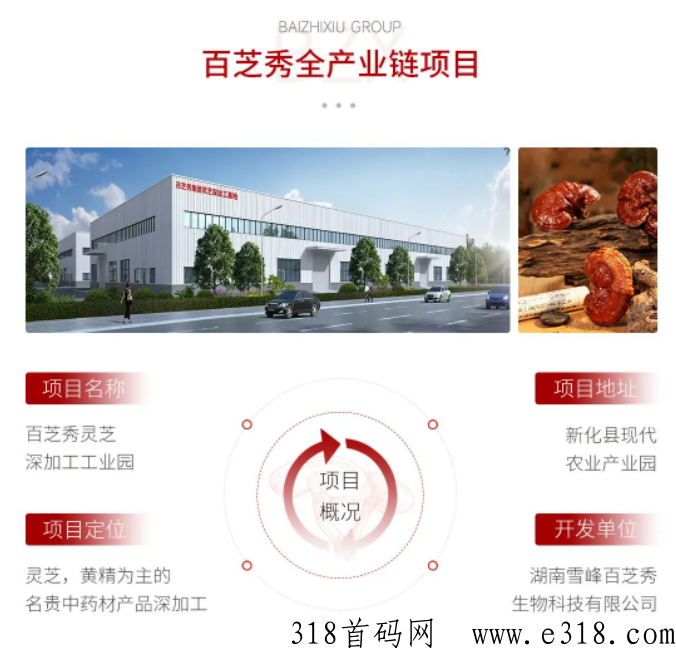 百芝秀，大文化集团打造健康项目，杨帆起航