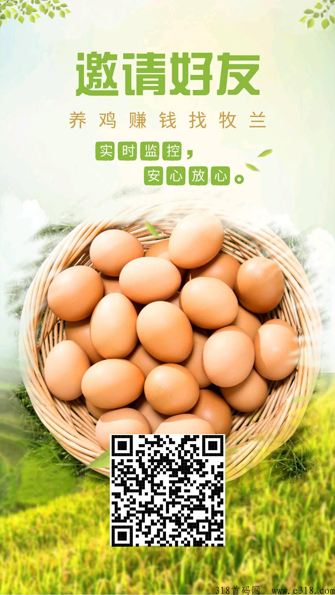 首码刚出牧兰农业，为什么要做牧