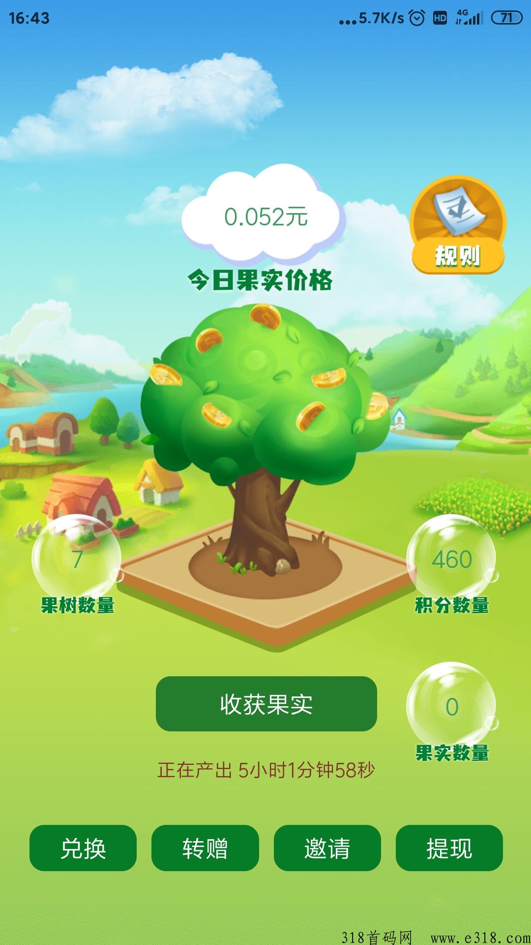 小绵羊首码，长久项目