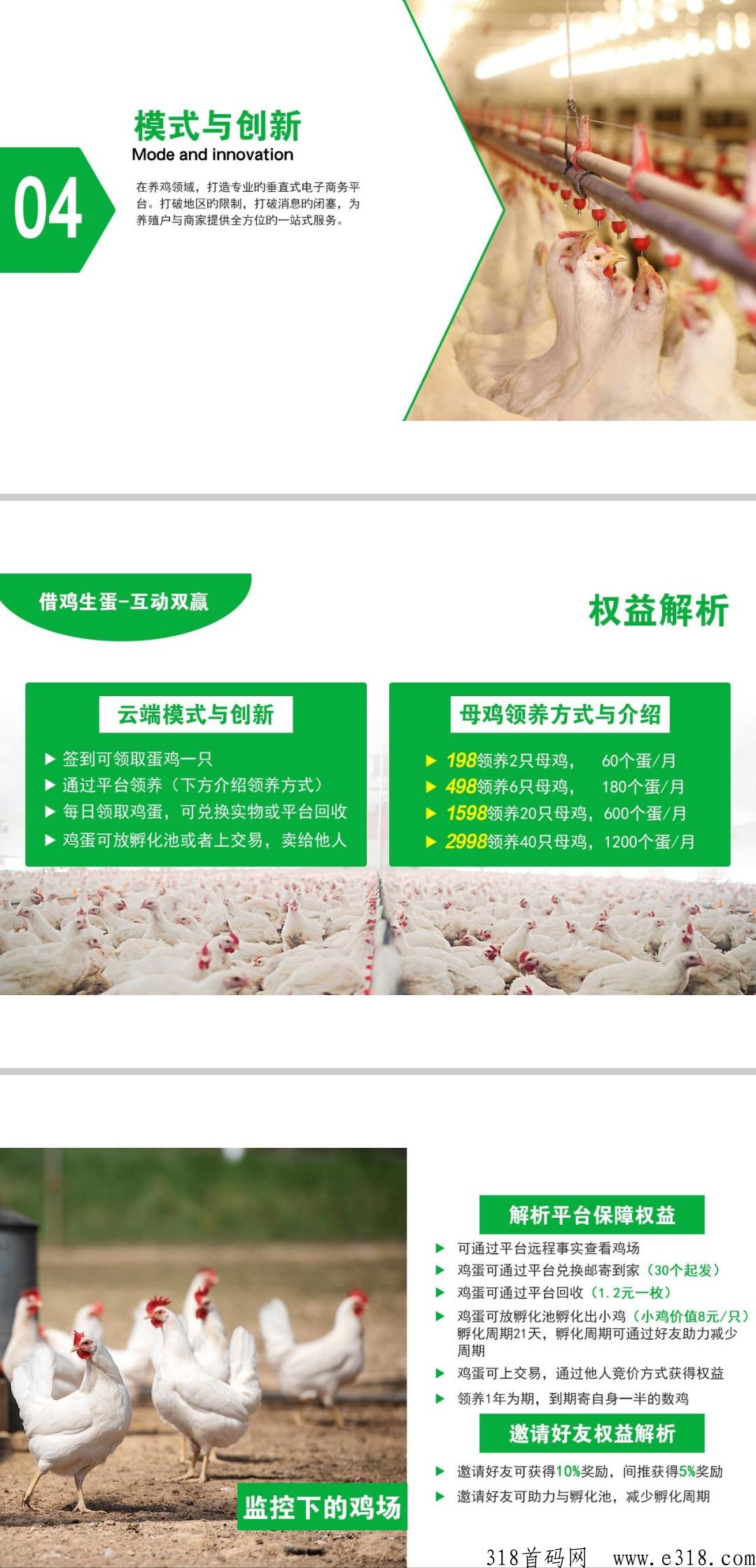 牧兰农业首码，养鸡赚米