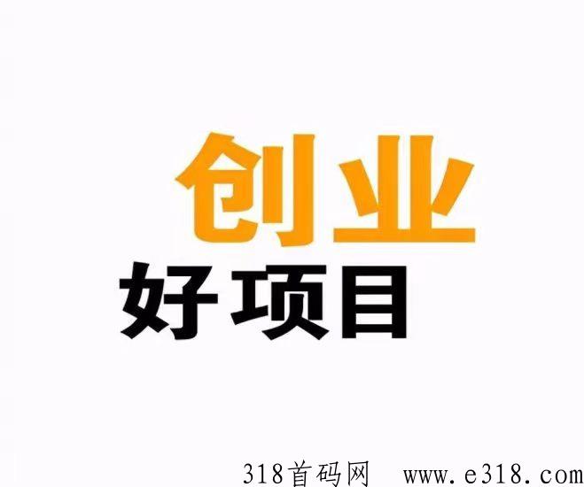 小龙掛2023版靠谱吗？小龙掛的收入以及提现好吗