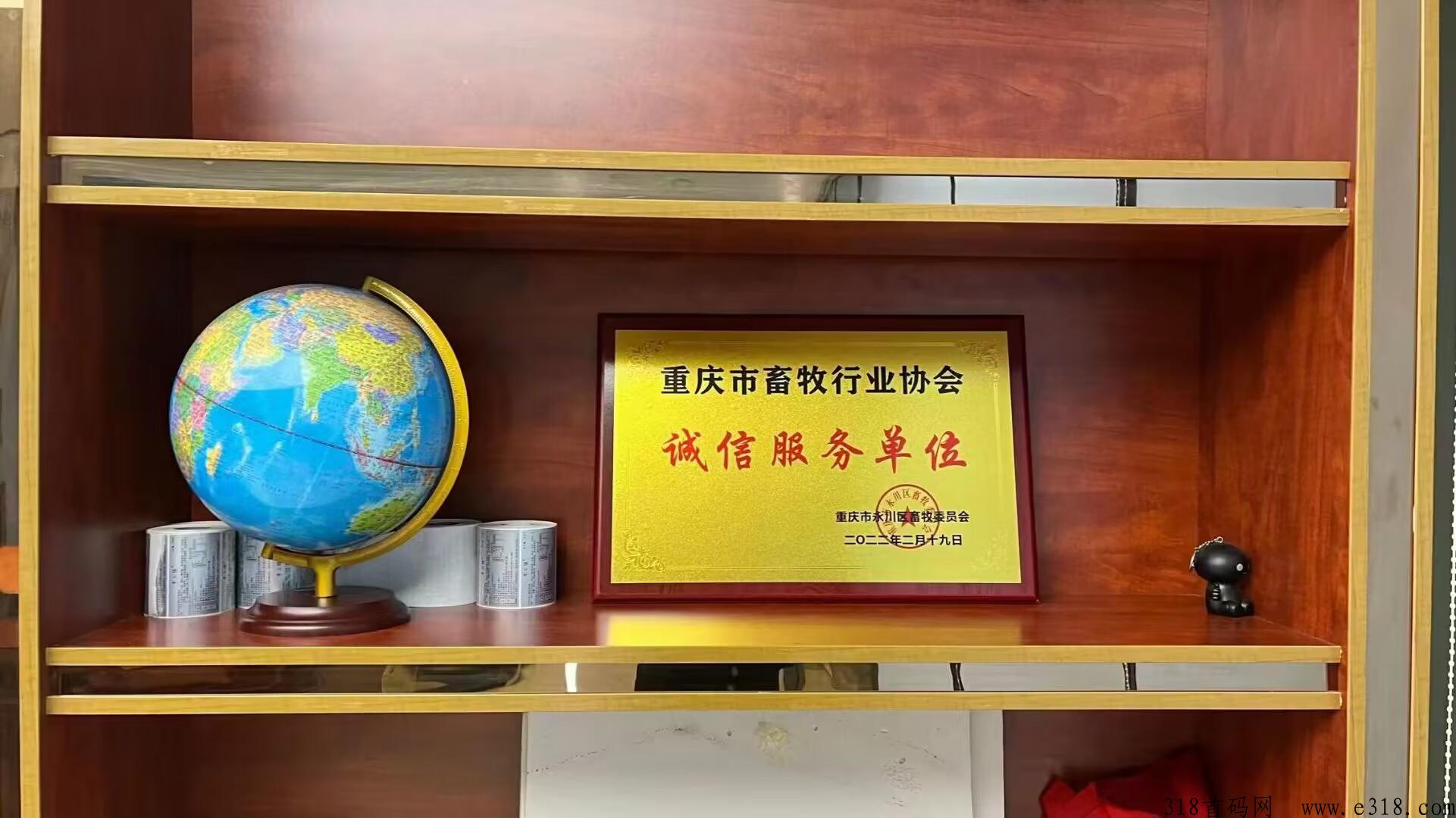 牧兰农业，首码火爆项目对接团队长