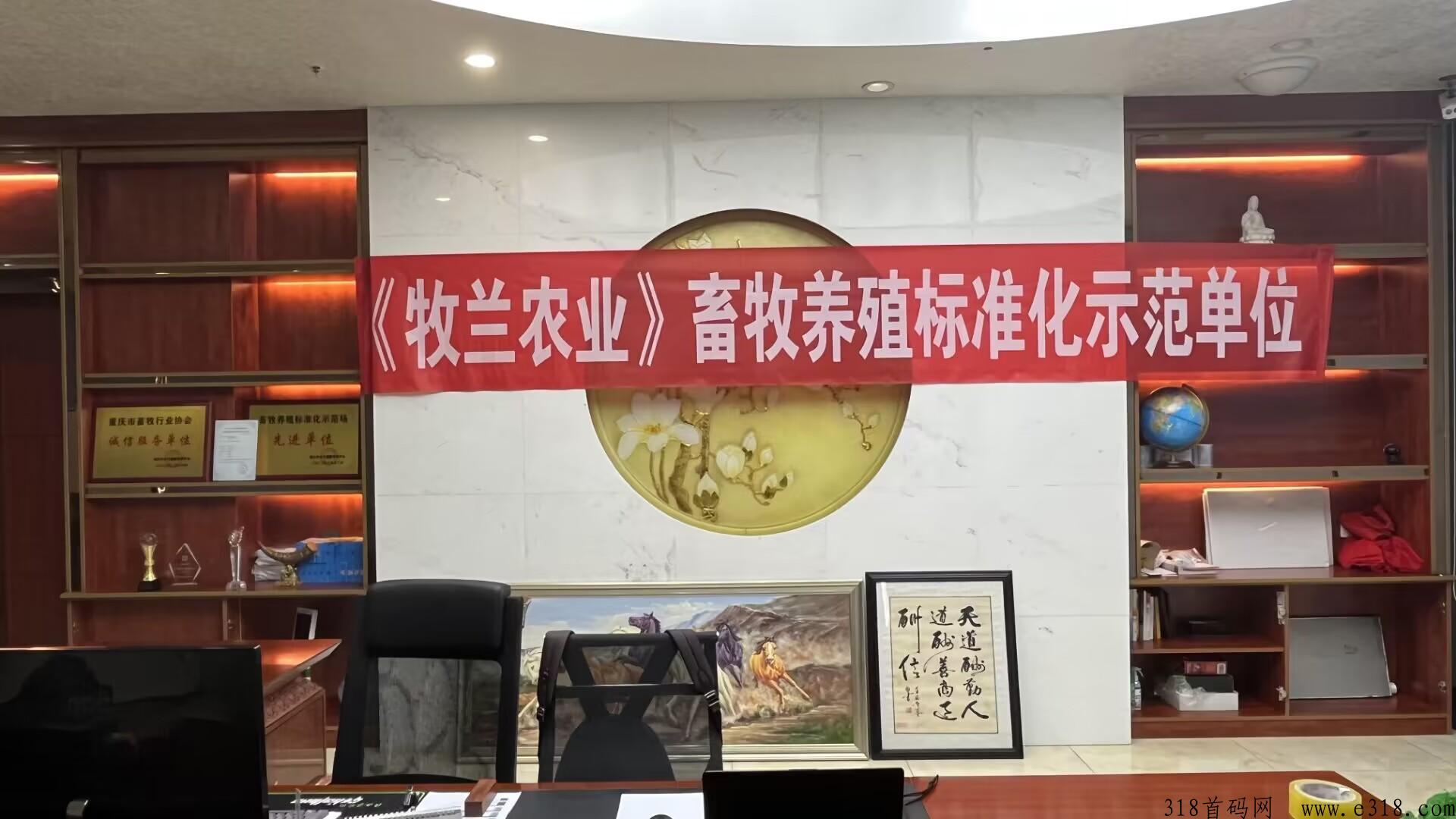 牧兰农业，首码火爆项目对接团队长