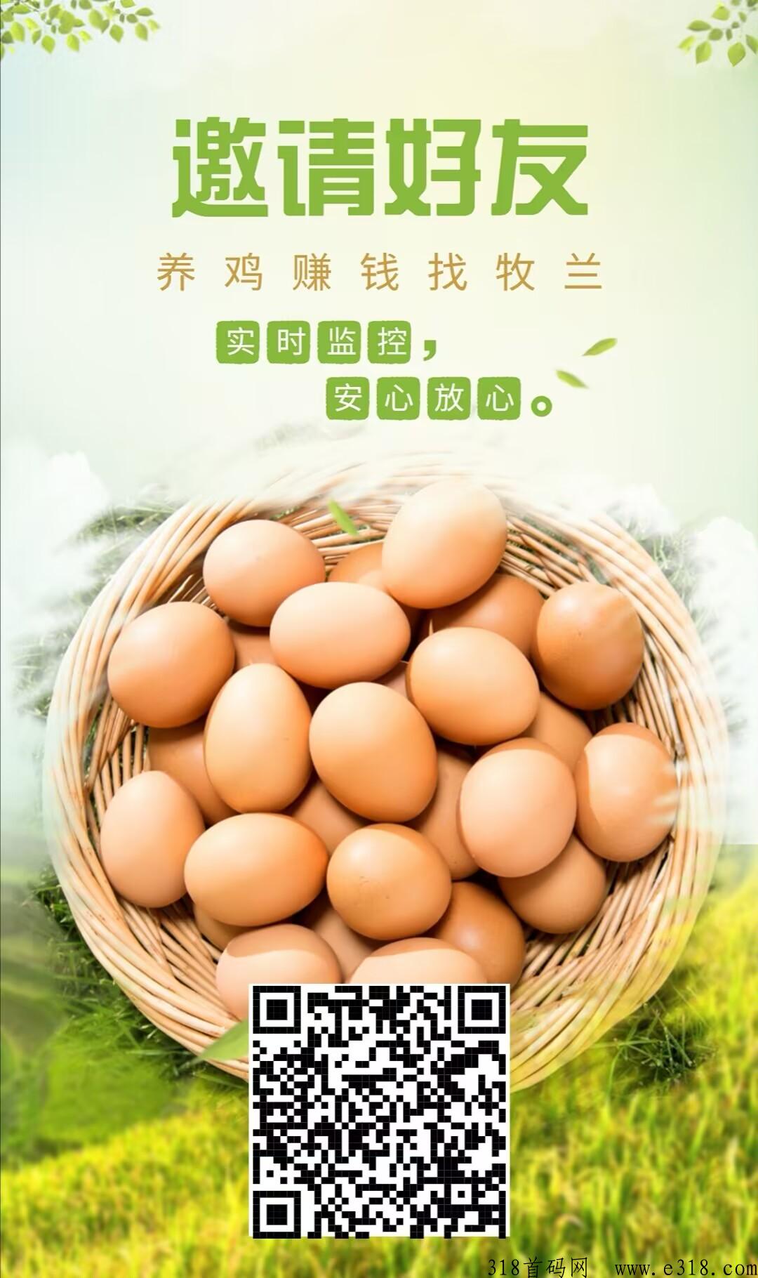 牧兰农业首码，养鸡赚米火爆对接