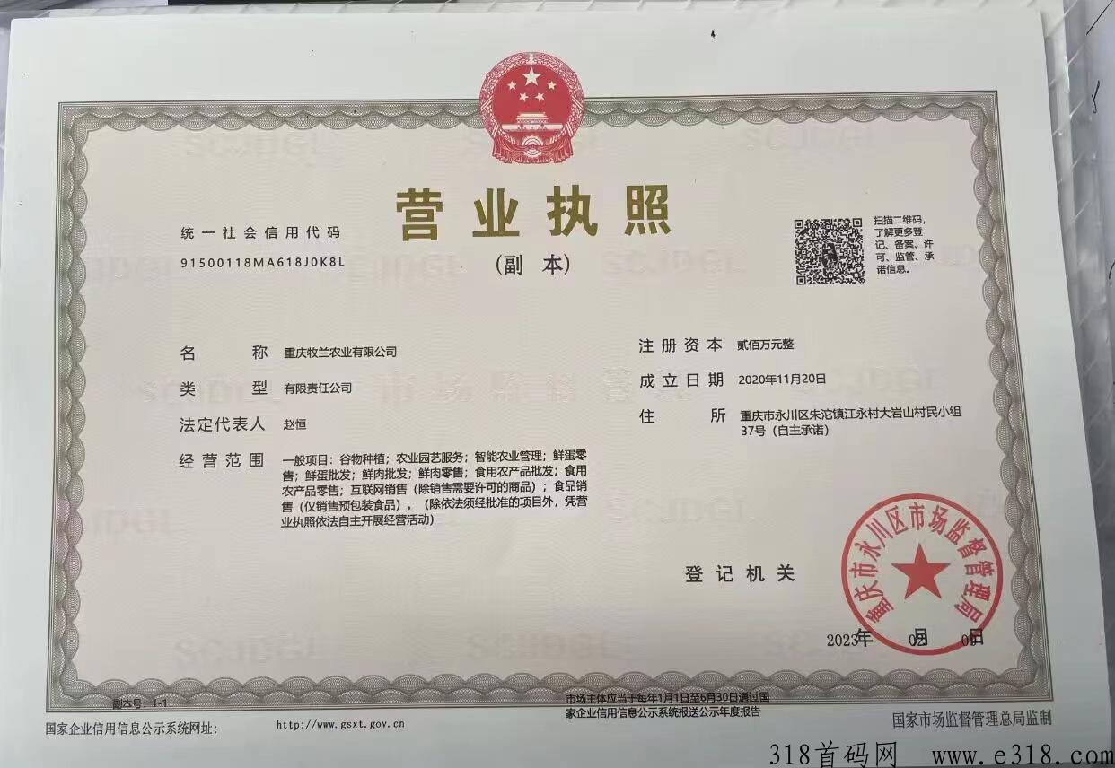 牧兰农业，首码对接团队长，火爆养鸡项目