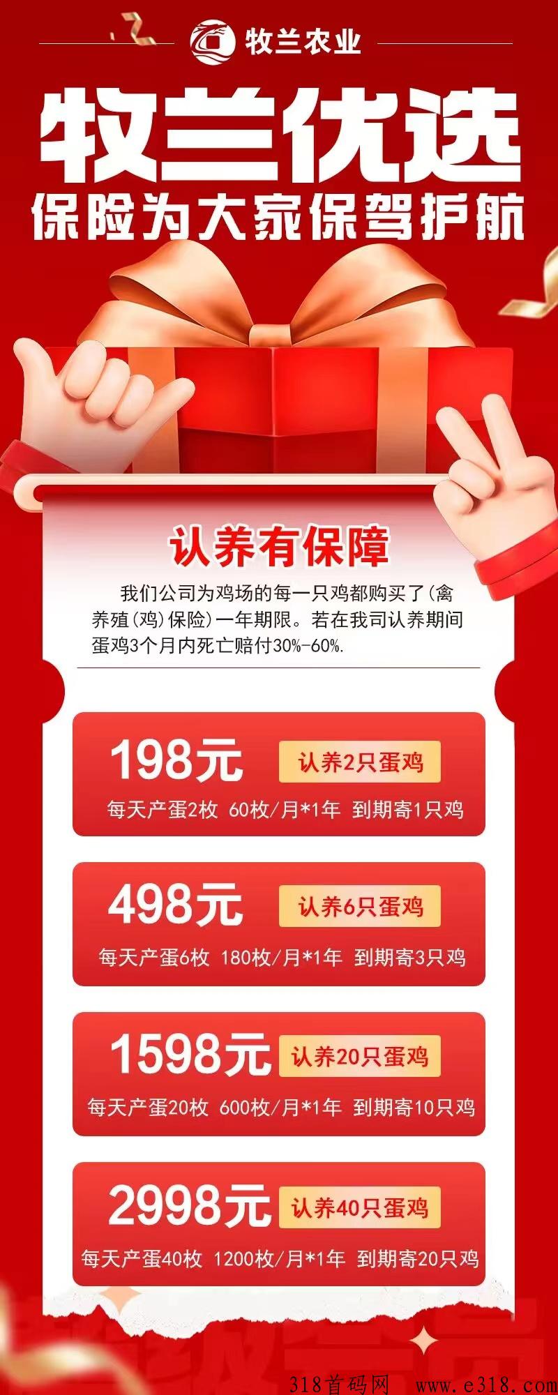 牧兰农业，首码对接团队长，火爆养鸡项目