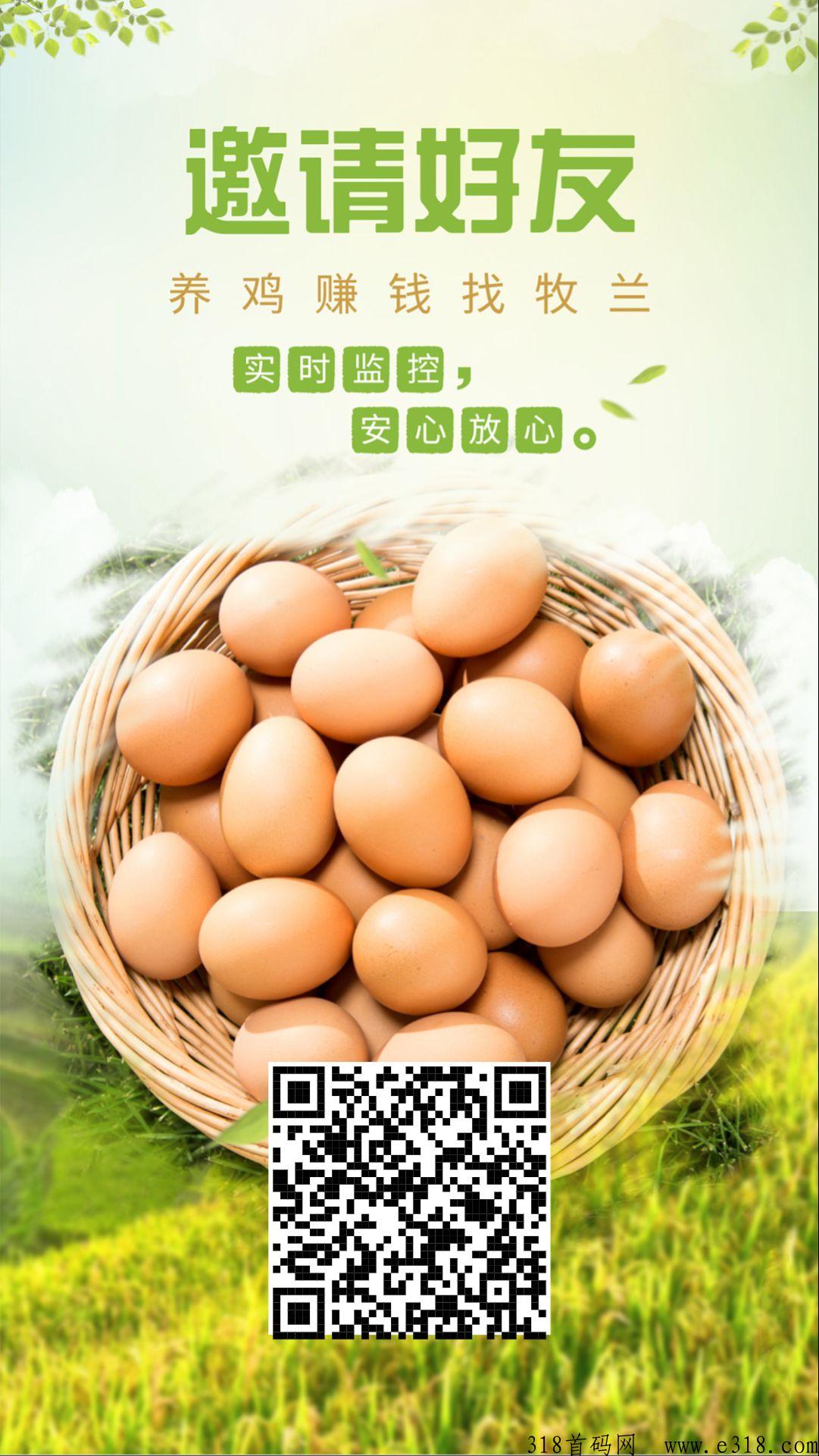 牧兰优选首码，高收益高分h，注册就送下蛋鸡，每天收益高，注册送最高奖励