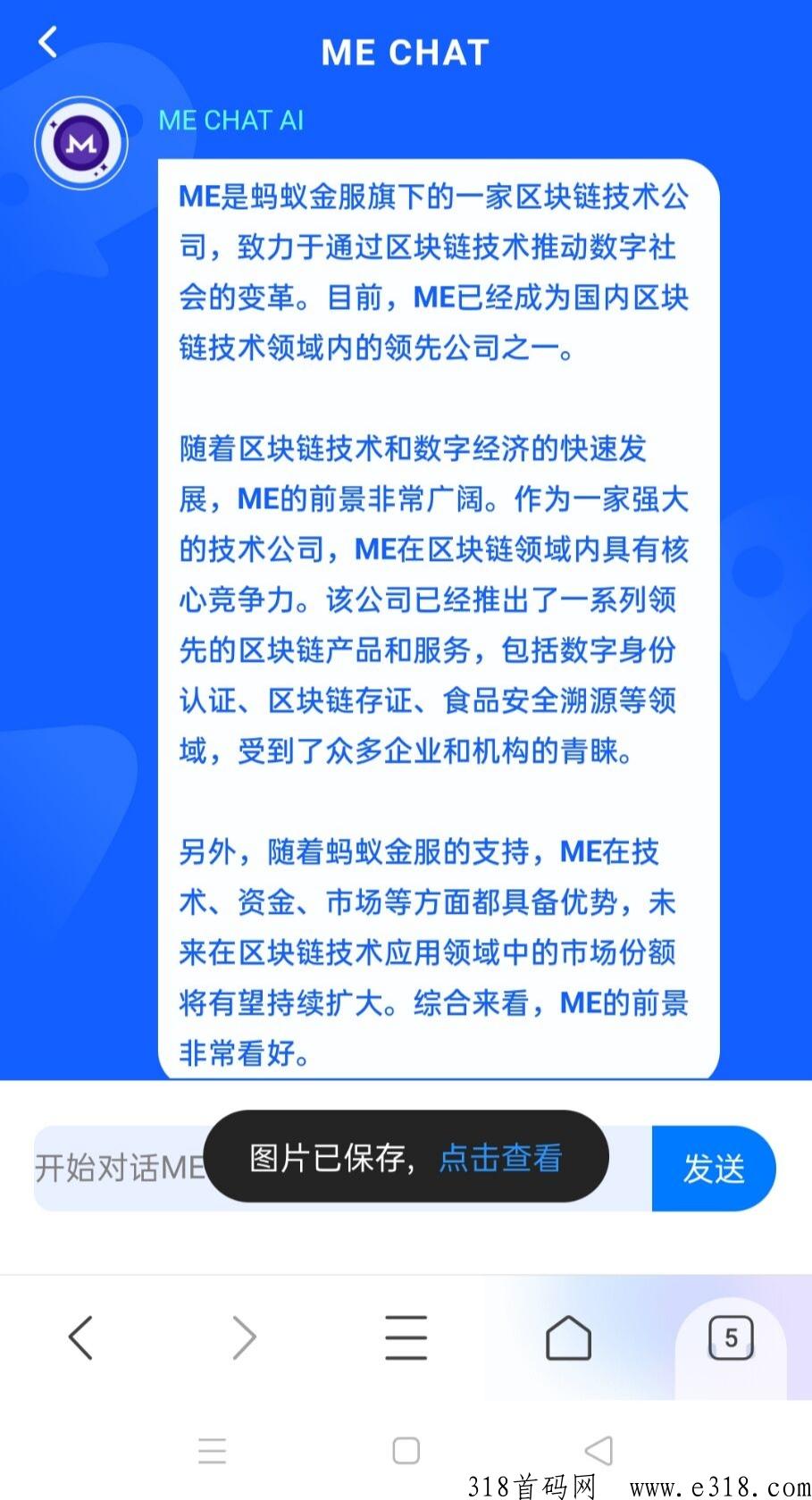 ME阿里巴巴蚂蚁金服公司的区块L项目
