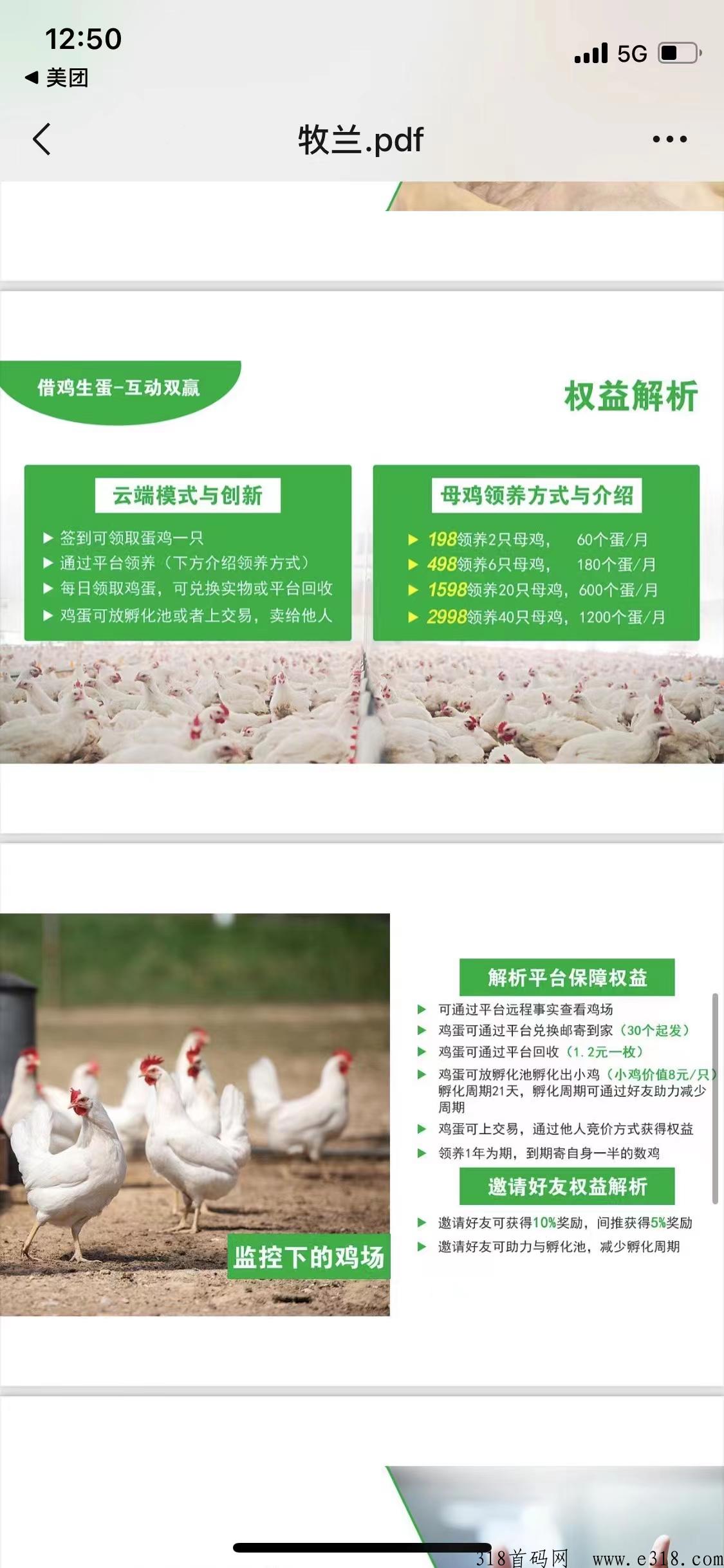 牧兰农场全网最高扶持对接