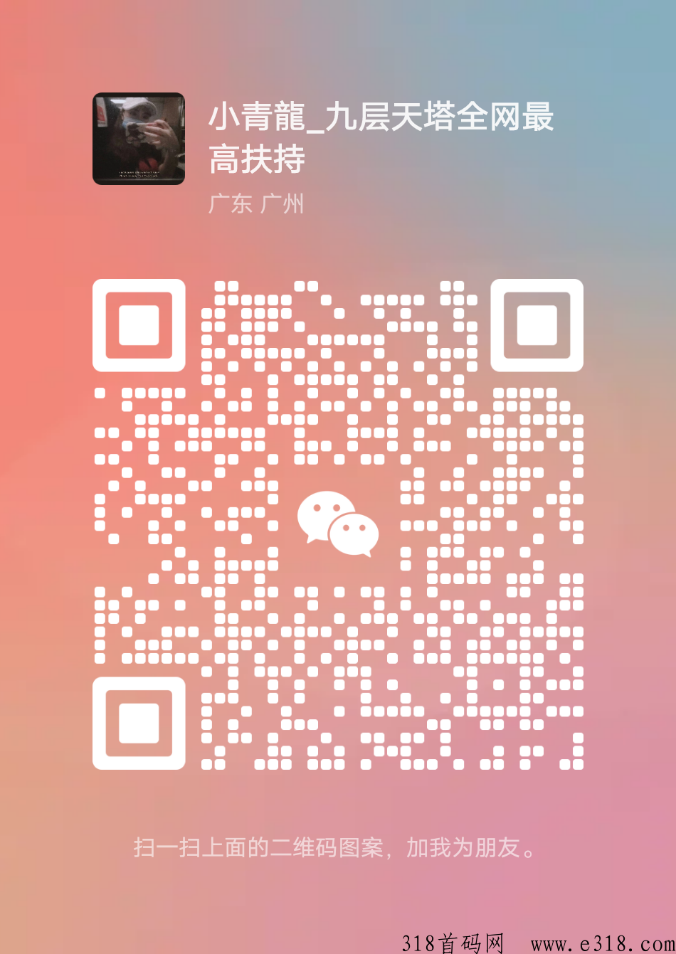 九层天塔无线代5r秒结，全网对接团队长
