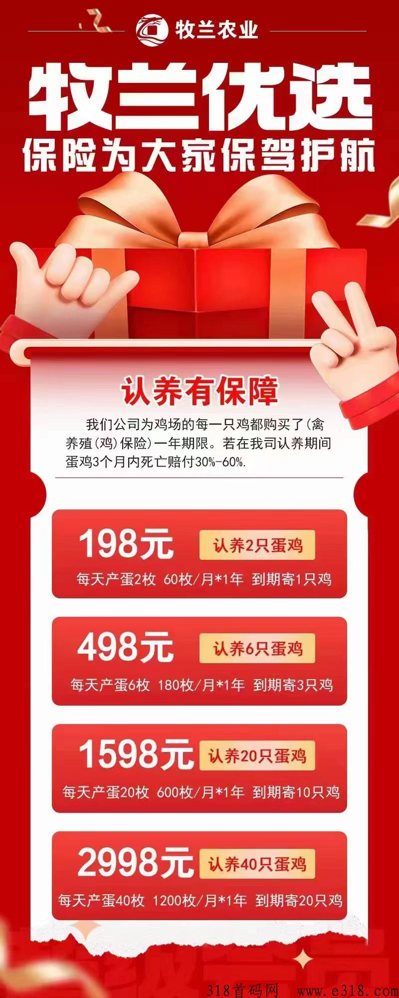 牧兰农业，疯狂的小鸡，云养鸡，首码来了