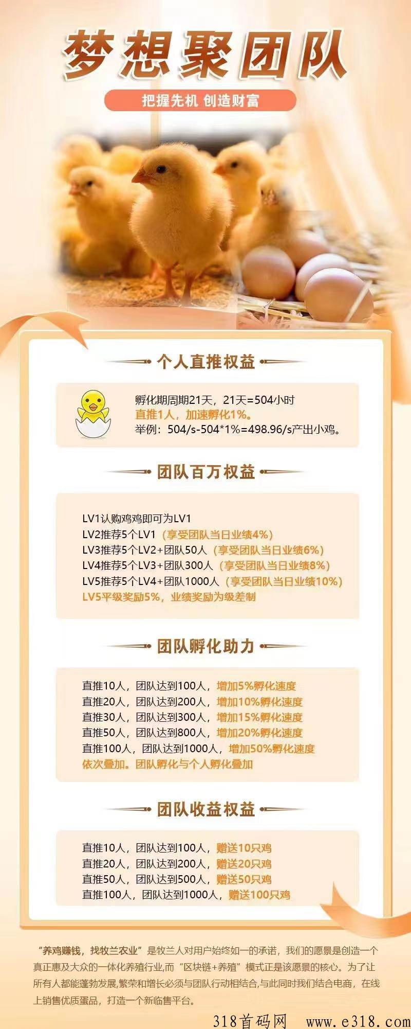 牧兰农业疯狂的小鸡，云养鸡，首码来了，让用户买得放心，吃得安心