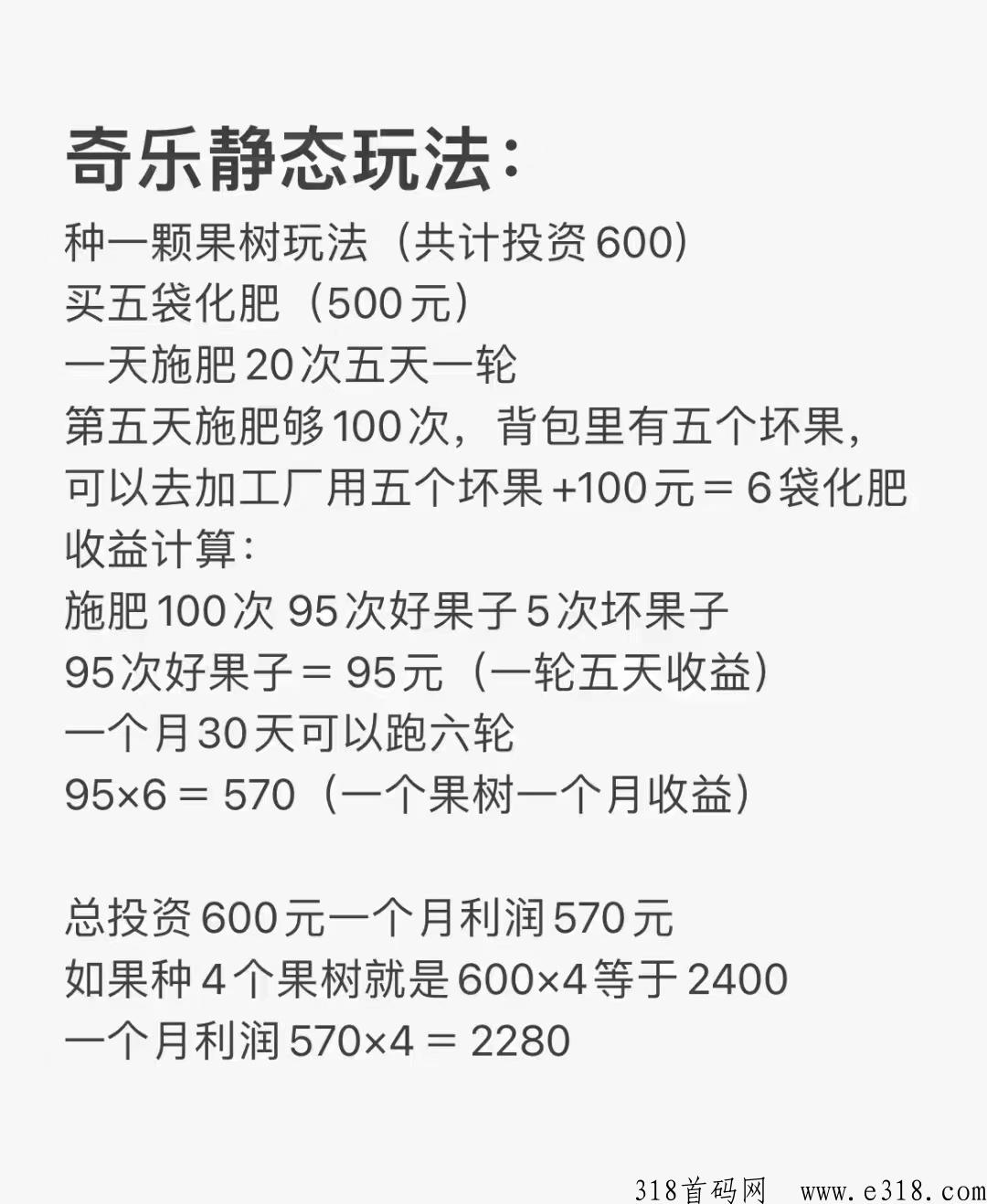 奇乐无限代扶持20一位