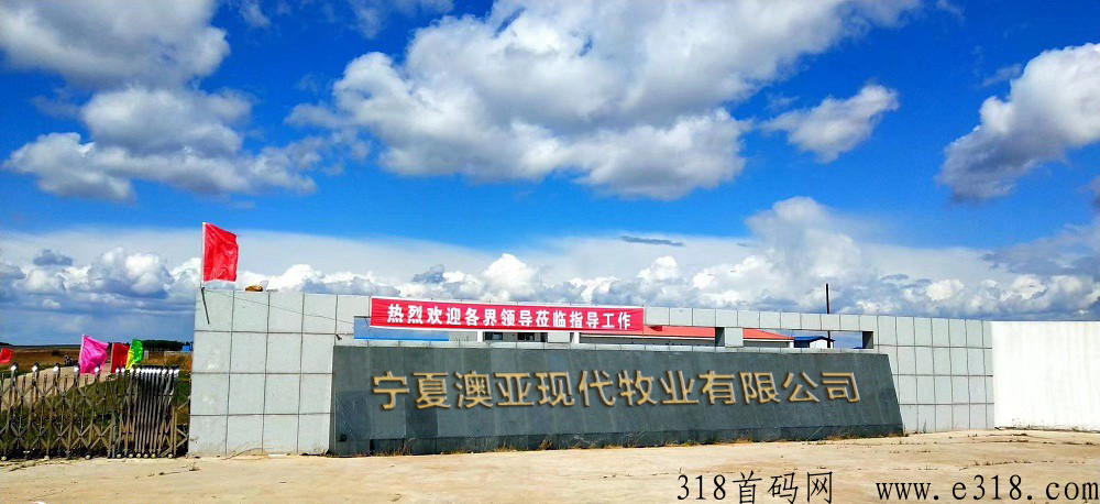 澳亚世界，全新首码项目即将强势来袭！官方全网对接实力团队长，全网最高待遇扶持！