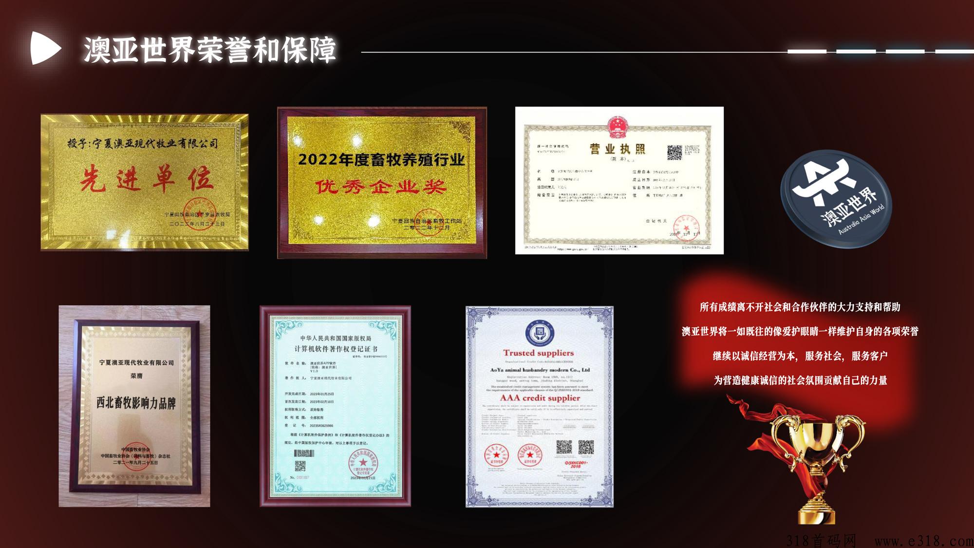 澳亚世界，全新首码项目即将强势来袭！官方全网对接实力团队长，全网最高待遇扶持！