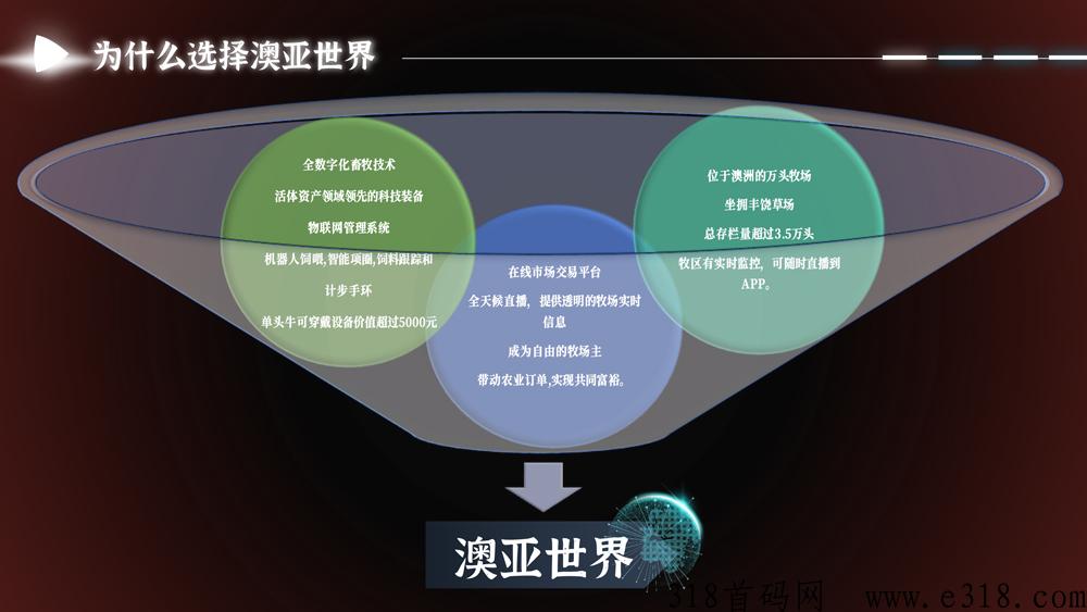 澳亚世界，全新首码项目即将强势来袭！官方全网对接实力团队长，全网最高待遇扶持！