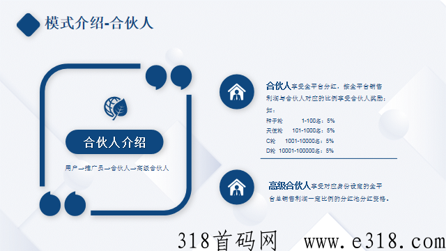 代言人+合伙人分销体系，公排机制持续裂变管道收益项目首码