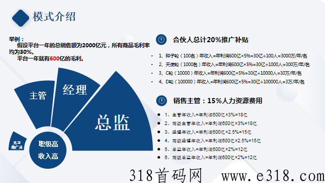 代言人+合伙人分销体系，公排机制持续裂变管道收益项目首码