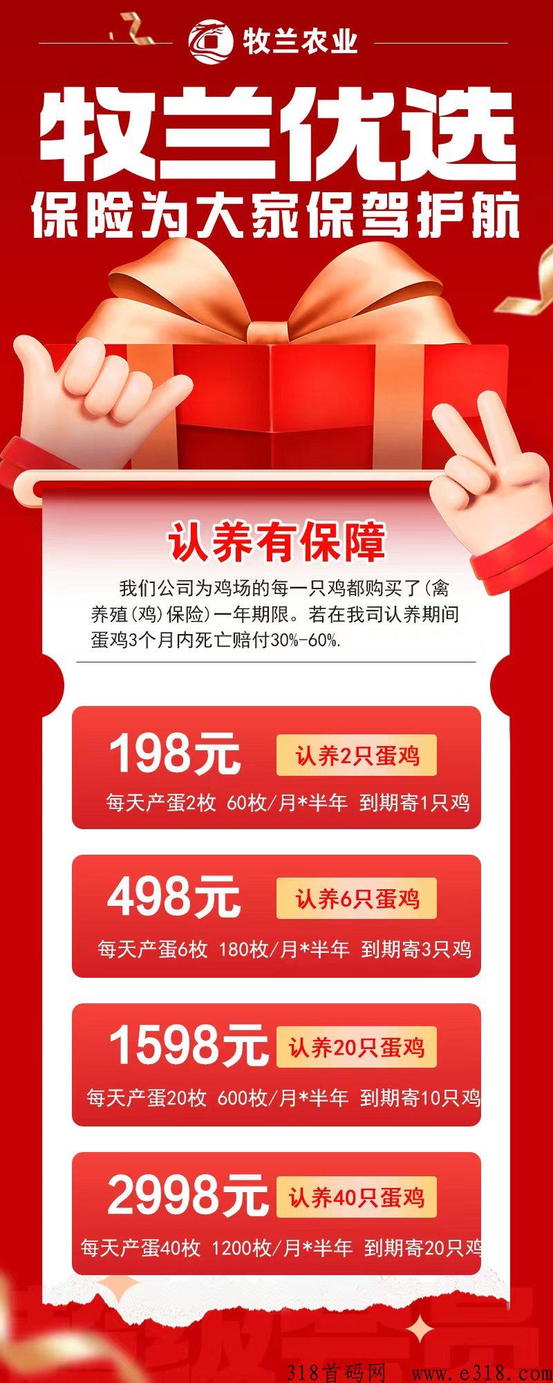 牧兰农业火爆首码，超级养鸡赚大米早上早赚