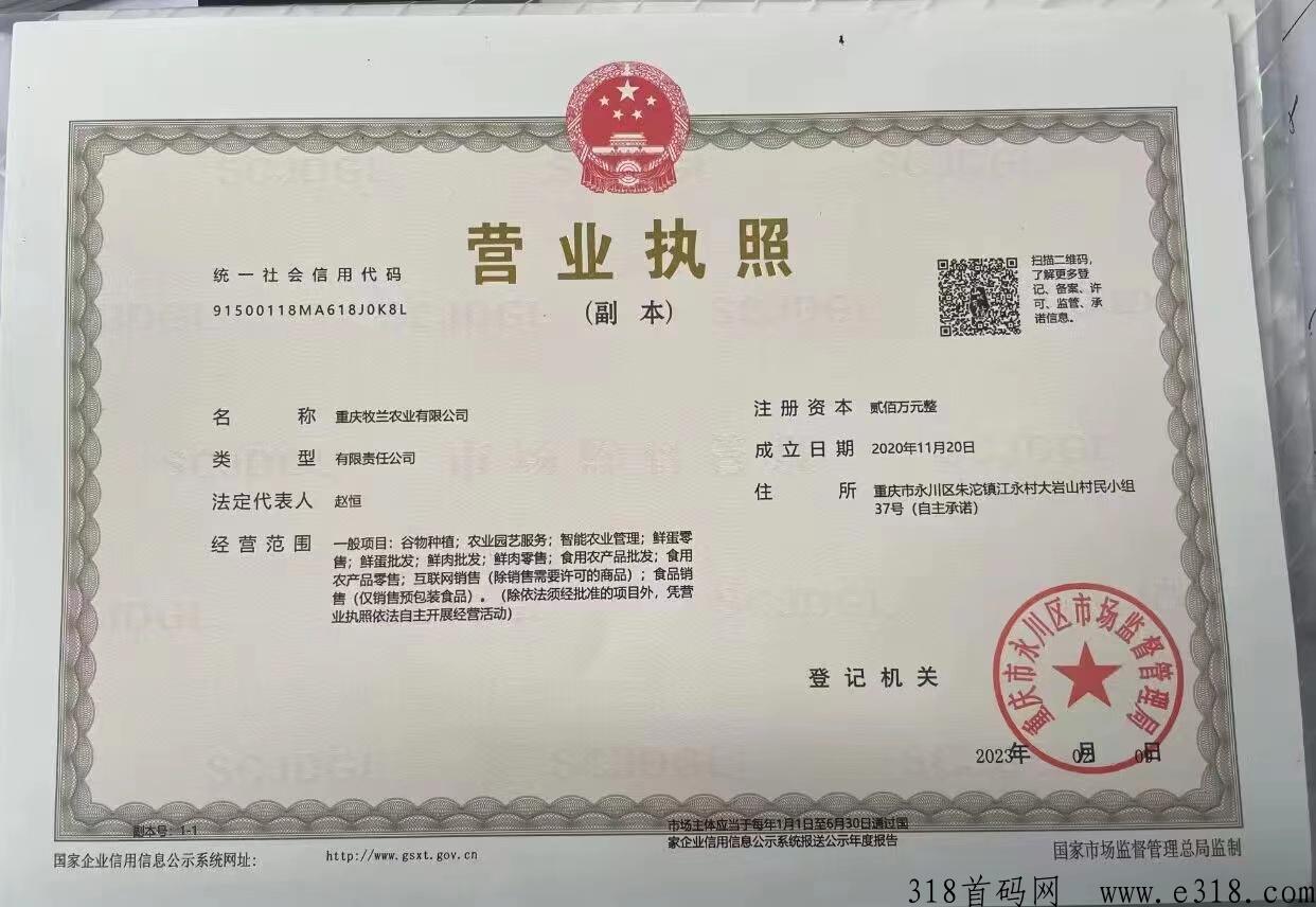 牧兰农业火爆首码，超级养鸡赚大米早上早赚