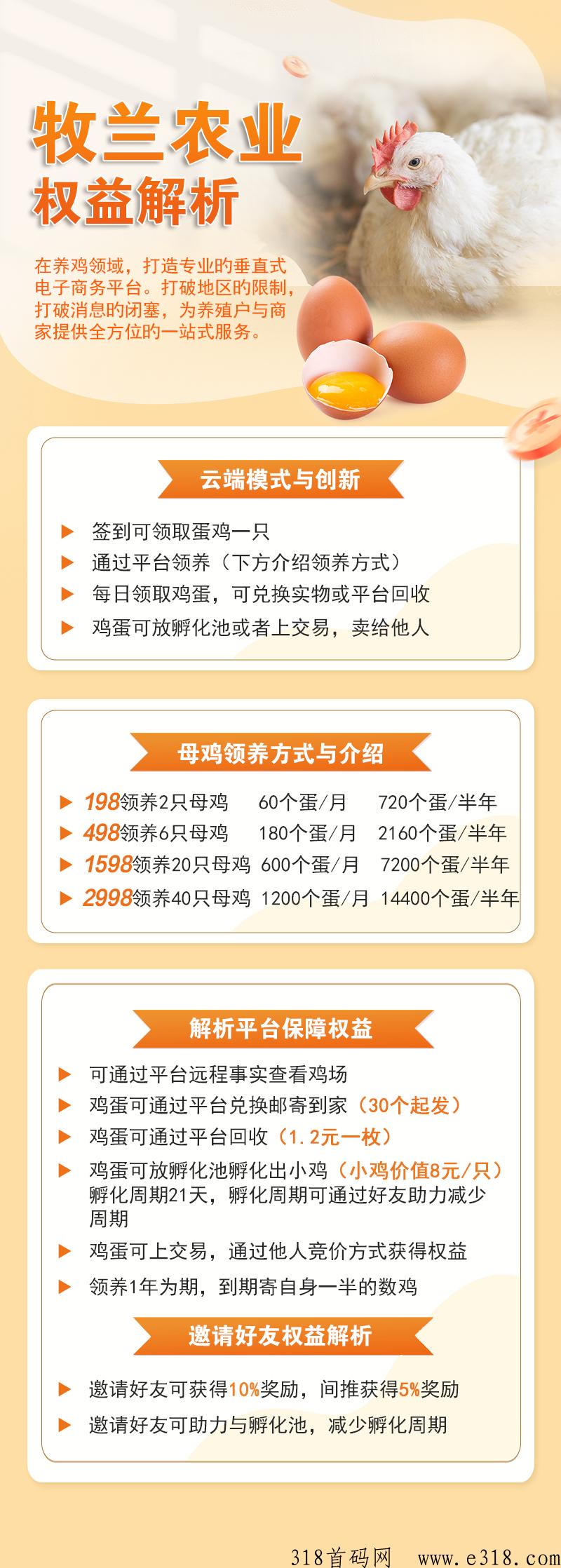 牧兰农业火爆首码，超级养鸡赚大米早上早赚