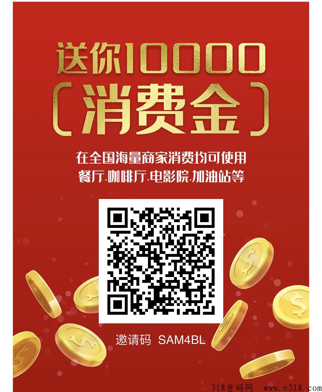 亿嗨消费金长久稳定项目，对接团队待遇拉满