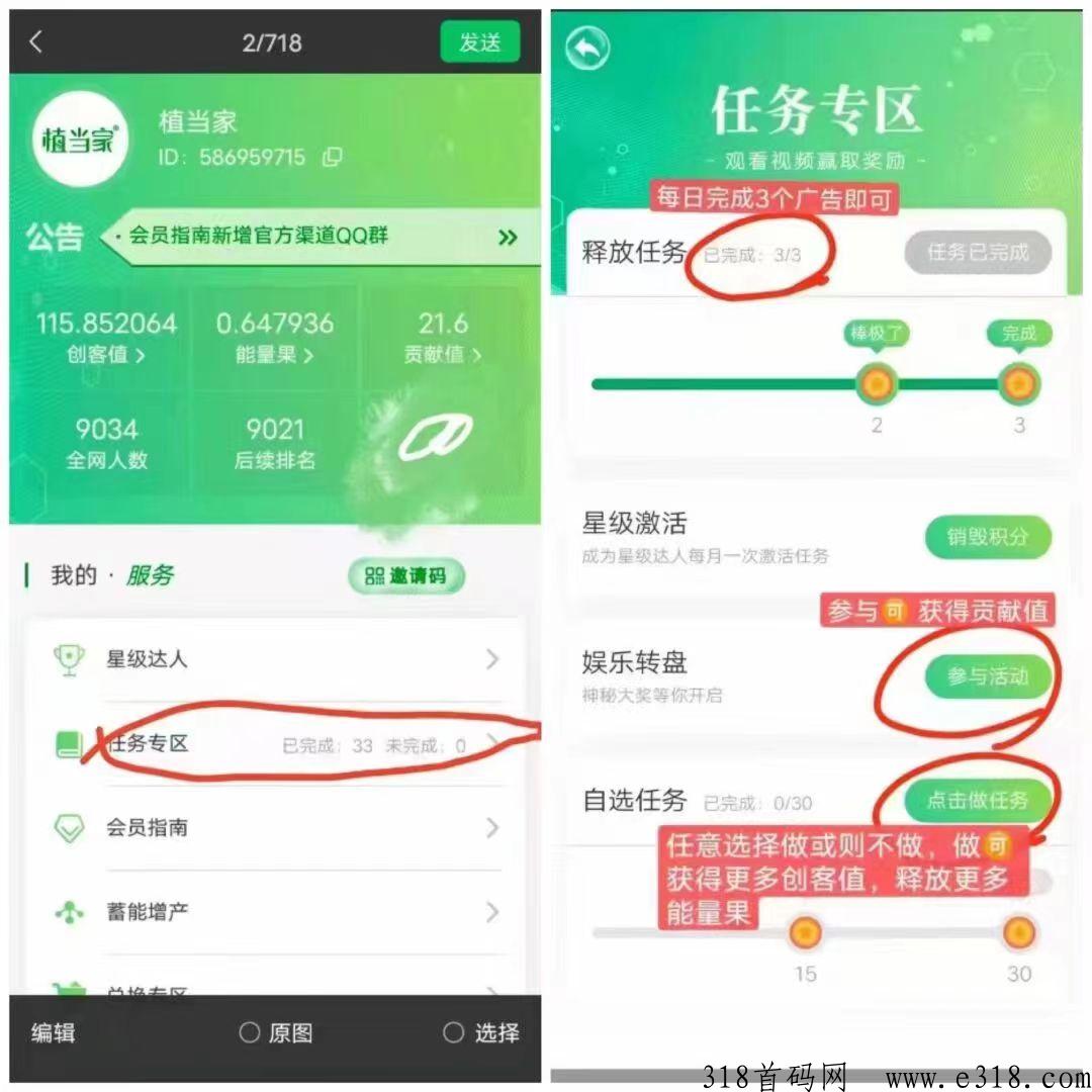 植当家一个果子价高！横扫一切免费项目！