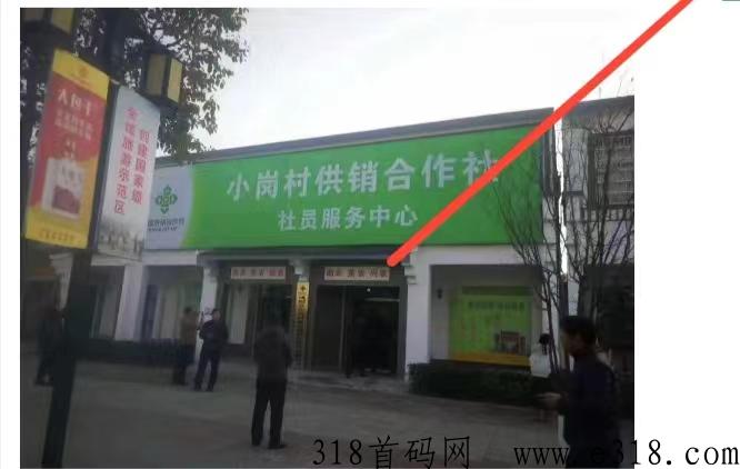 数字乡村项目，农业项目，注册即送消费劵，可消费可变现，致力打造线上最大的消费劵消费平台