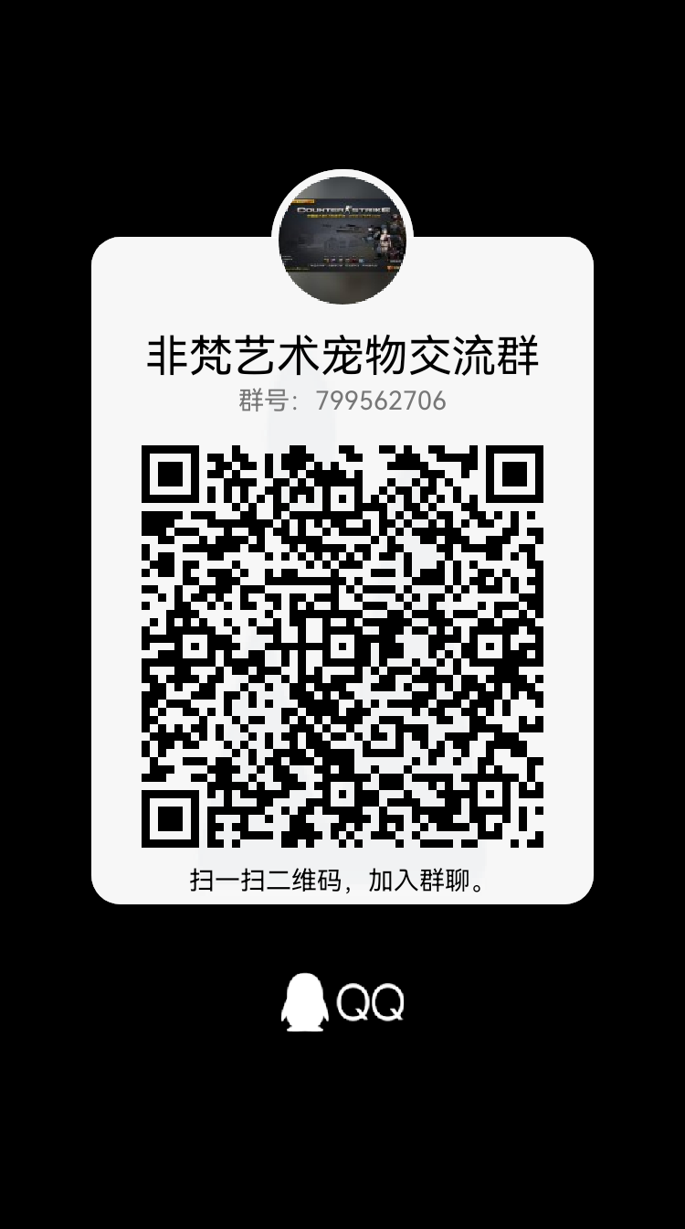非凡艺术最强项目，无限制一只秒出价高