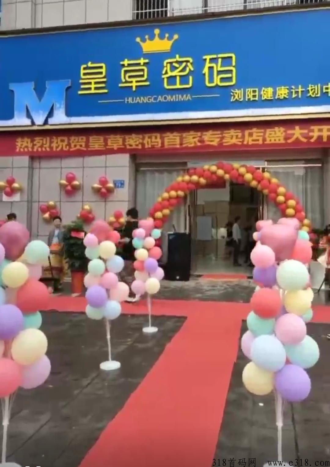 地面项目皇草密码为什么火爆？