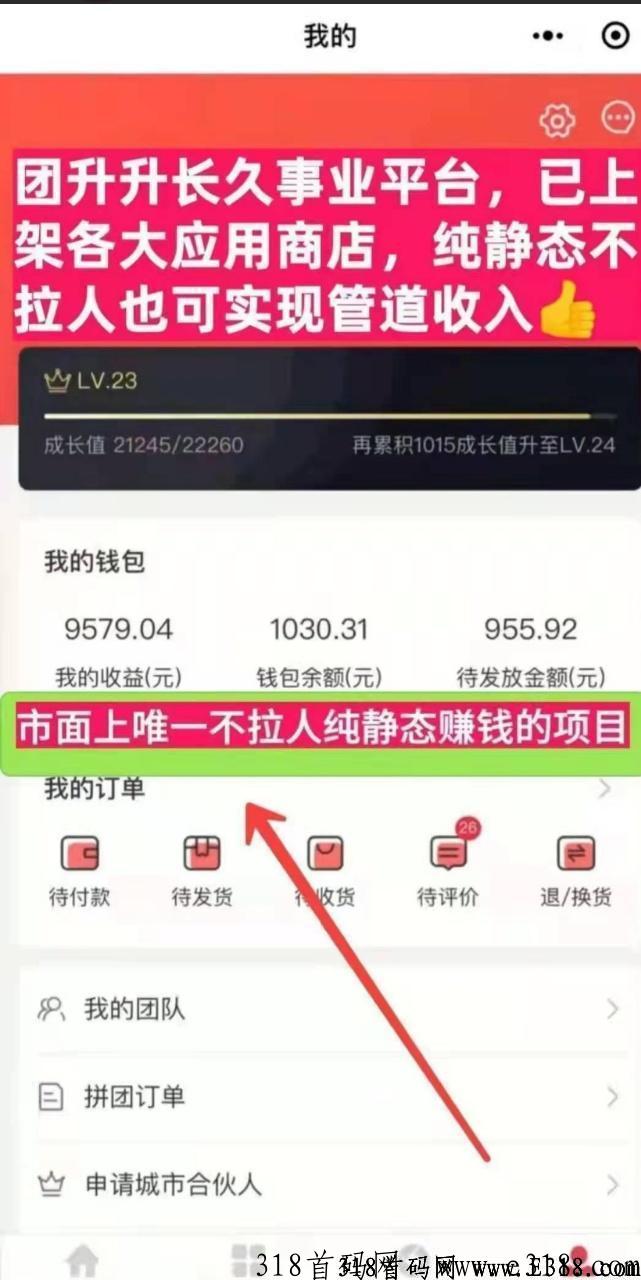 团生生平台自动匹配下级，坐等收益，轻松躺赚