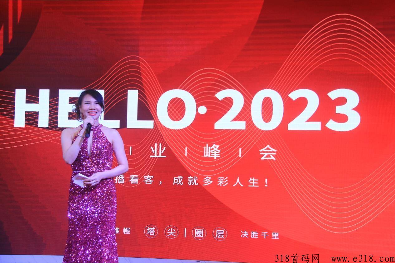 直播看客，主播为你带货，收益高