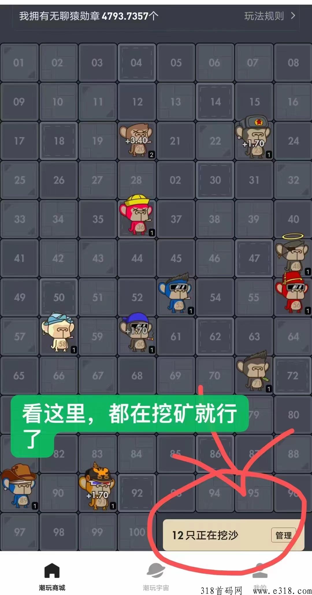 潮玩宇宙首码，蜂群联盟分h项目