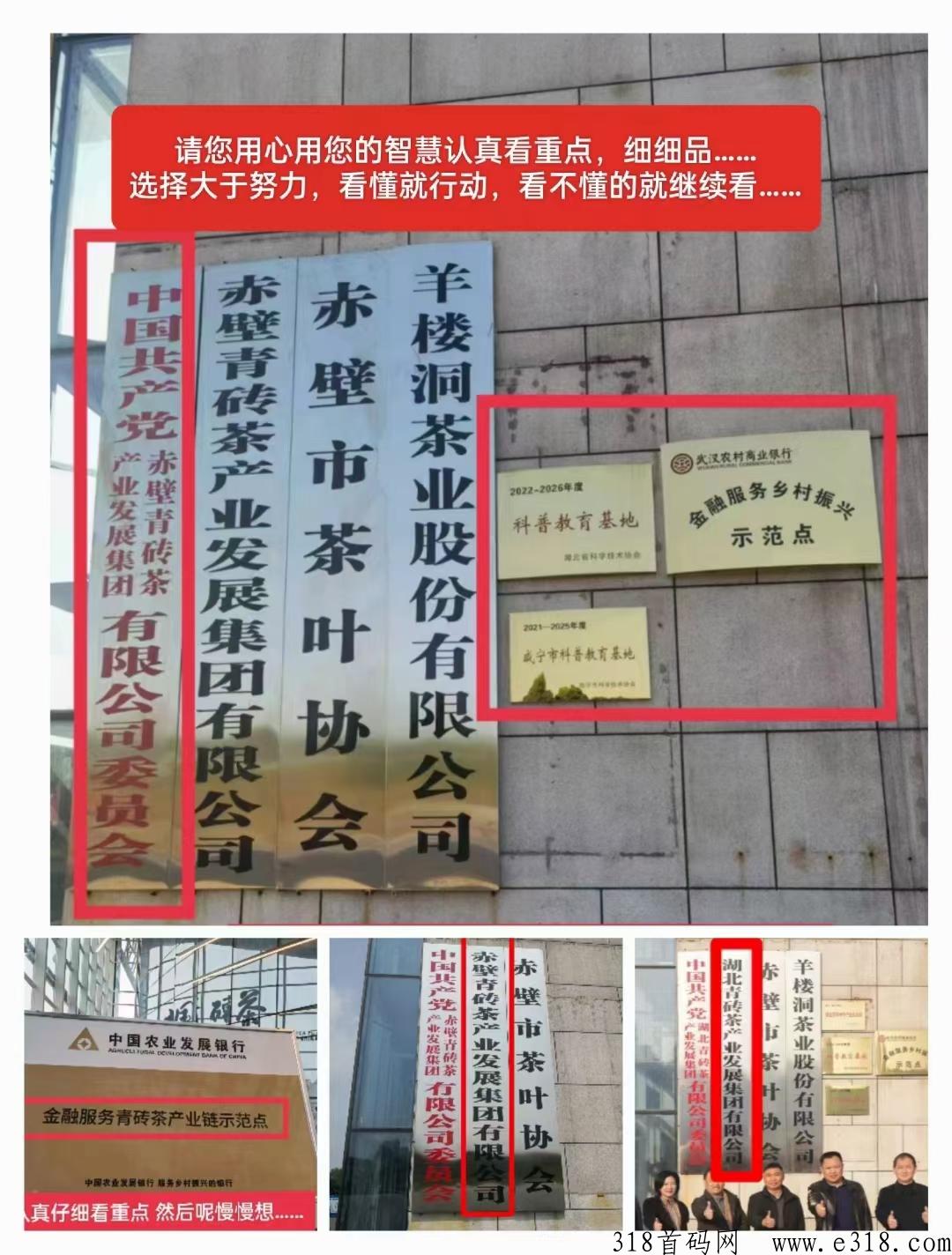 羊楼洞682拼仓赚米模式，能赚到米吗？